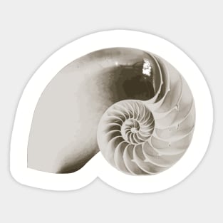 Open Nautilus Shell Sticker